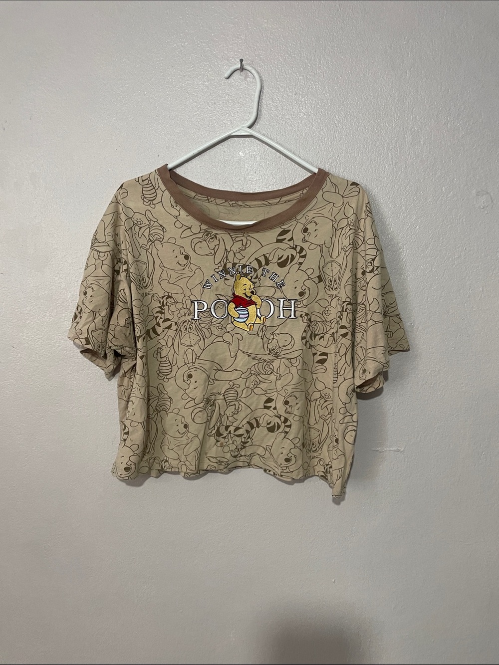 Beige Pooh Graphic Cropped Tee with Contrast Neck